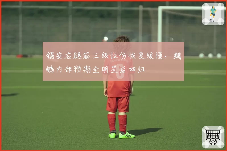 锡安右腿筋三级拉伤恢复缓慢，鹈鹕内部预期全明星后回归