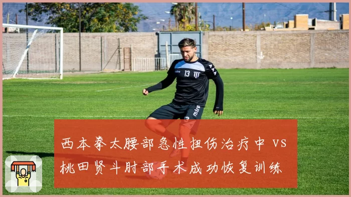 西本拳太腰部急性扭伤治疗中 vs 桃田贤斗肘部手术成功恢复训练