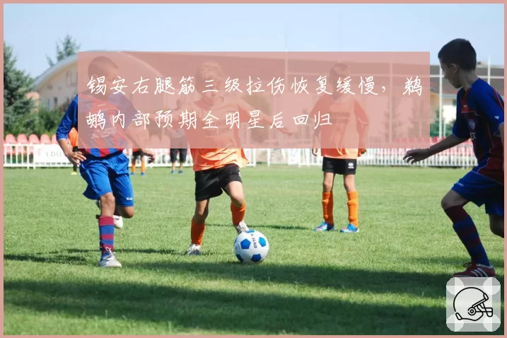 锡安右腿筋三级拉伤恢复缓慢，鹈鹕内部预期全明星后回归