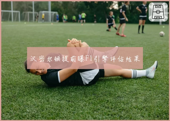 汉密尔顿提前曝F1引擎评估结果