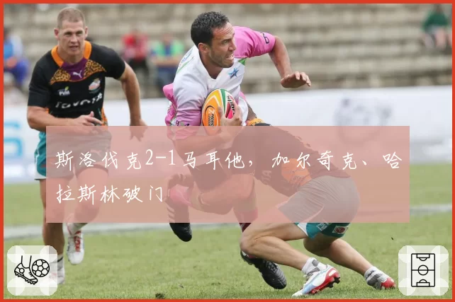 斯洛伐克2-1马耳他,加尔奇克、哈拉斯林破门