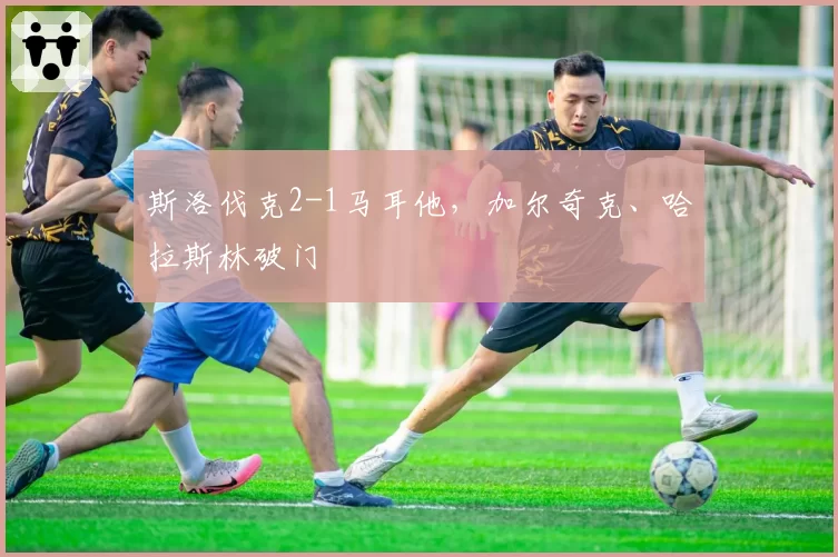 斯洛伐克2-1马耳他，加尔奇克、哈拉斯林破门