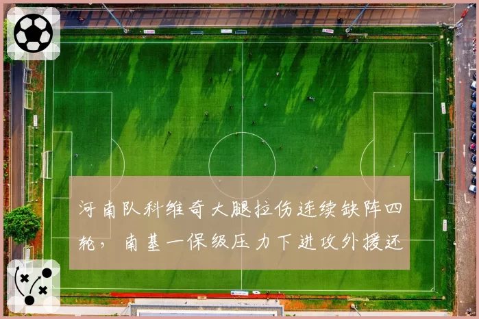 河南队科维奇大腿拉伤连续缺阵四轮,南基一保级压力下进攻外援还要等多久?
